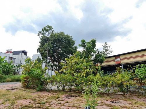 Bán nền E9 37 ĐS5, KDC 586, phường Phú Thứ, quận Cái Răng, Tp. Cần Thơ